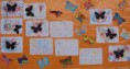 /album/galeria-de-fotos%3a-experiencias-alunos-do-1%c2%ba-e-2%c2%ba-ano/a8-jpg/
